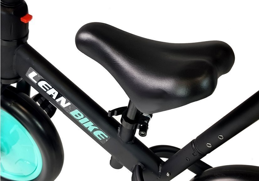 Skriešanas velosipēds Black & Mint 3in1 cena un informācija | Trīsriteņi | 220.lv