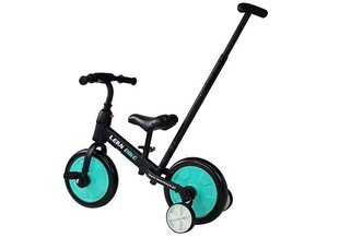 Skriešanas velosipēds Black & Mint 3in1 цена и информация | Трехколесные велосипеды | 220.lv