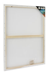Холст для картин Nassau 1 шт, 50 x 70 см цена и информация | Принадлежности для рисования, лепки | 220.lv