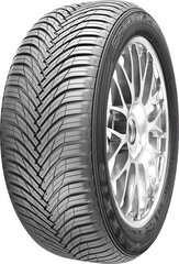 Maxxis Premitra All Season AP3 205/40R17 84 V XL cena un informācija | Vissezonas riepas | 220.lv