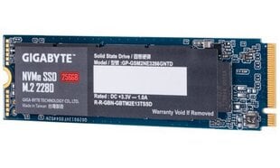 Gigabyte GP-GSM2NE3256GNTD цена и информация | Внутренние жёсткие диски (HDD, SSD, Hybrid) | 220.lv