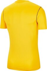 Nike футболка мужская, желтая цена и информация | Мужские футболки | 220.lv