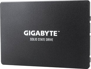 Gigabyte GP-GSTFS31100TNTD цена и информация | Внутренние жёсткие диски (HDD, SSD, Hybrid) | 220.lv