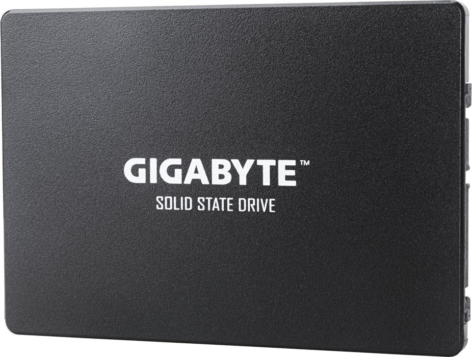 Gigabyte GP-GSTFS31100TNTD cena un informācija | Iekšējie cietie diski (HDD, SSD, Hybrid) | 220.lv