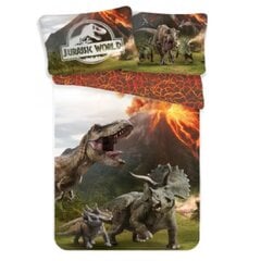 Bērnu gultasveļas komplekts Jurassic World 140x200cm, 2 daļas цена и информация | Детское постельное бельё | 220.lv