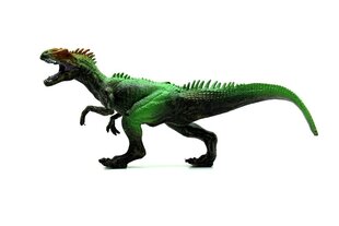 Dinozauru figūriņu komplekts (7 dinozauri) cena un informācija | Rotaļlietas zēniem | 220.lv