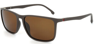 Saulesbrilles Label B1282 Polarized cena un informācija | Saulesbrilles  vīriešiem | 220.lv