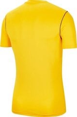 Мужская футболка Nike Dry Park 20 Top SS M, желтая цена и информация | Мужские футболки | 220.lv