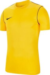 Мужская футболка Nike Dry Park 20 Top SS M, желтая цена и информация | Мужские футболки | 220.lv