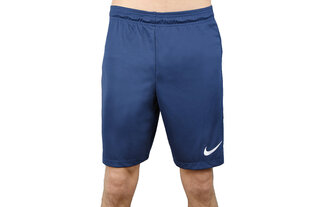Nike шорты мужские Park II M, синие цена и информация | Мужские шорты | 220.lv