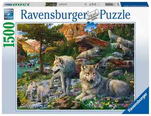 Головоломка Ravensburger Волки, 1500 д., 16598 цена и информация | Пазлы | 220.lv