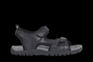 Geox мужские сандалии MO SANDAL STRADA цена и информация | Мужские шлепанцы, босоножки | 220.lv