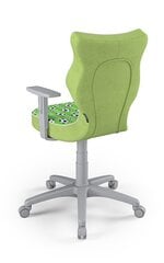 Детское офисное кресло Entelo Duo ST29 5, многоцветное/серое цена и информация | Офисные кресла | 220.lv