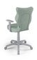 Biroja krēsls Entelo Duo DC20 6, zaļš/pelēks цена и информация | Biroja krēsli | 220.lv