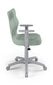 Biroja krēsls Entelo Duo DC20 6, zaļš/pelēks цена и информация | Biroja krēsli | 220.lv