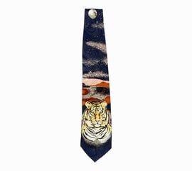 Vīriešu kaklasaite cena un informācija | Kaklasaites, tauriņi | 220.lv