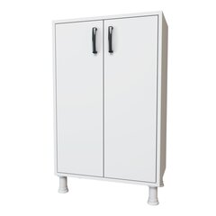 Шкафчик Kalune Design 893 (I), 62,6 см, белый цена и информация | Шкафчики в гостиную | 220.lv