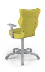Biroja krēsls Entelo Duo DC19 6, zaļš/pelēks cena un informācija | Biroja krēsli | 220.lv