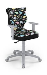 Детское офисное кресло Entelo Duo ST30 5, многоцветное/серое цена и информация | Офисные кресла | 220.lv