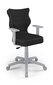 Biroja krēsls Entelo Duo TW17 6, melns/pelēks цена и информация | Biroja krēsli | 220.lv