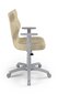 Bērnu biroja krēsls Entelo Duo VS26 5, smilšu krāsas/pelēks cena un informācija | Biroja krēsli | 220.lv