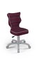 Biroja krēsls Entelo Petit VS07 3, violets/pelēks цена и информация | Biroja krēsli | 220.lv
