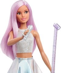 Кукла Барби Певица, FXN98 цена и информация | Игрушки для девочек | 220.lv