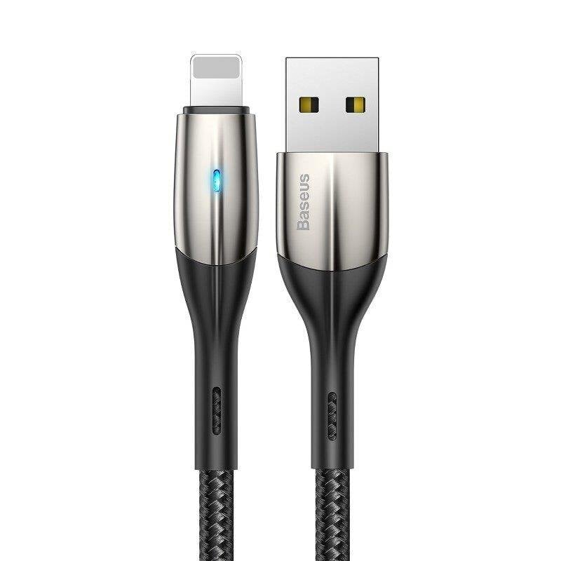 Baseus, USB/Lighthing, 1 m cena un informācija | Kabeļi un vadi | 220.lv