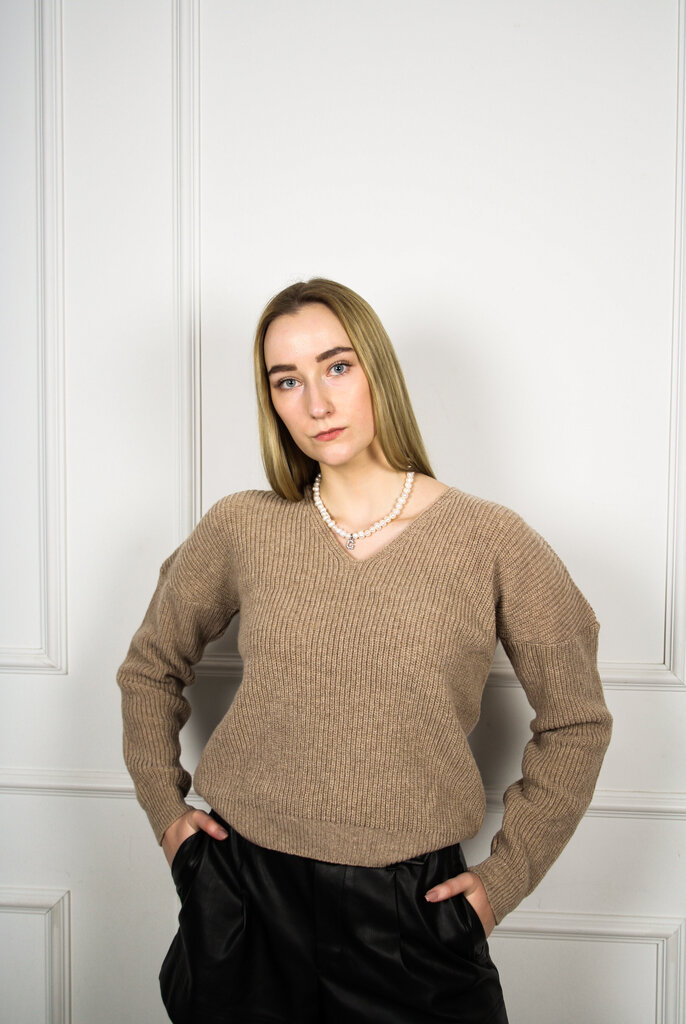 Džemperis sievietēm Kredaga G8, brūns цена и информация | Sieviešu džemperi | 220.lv