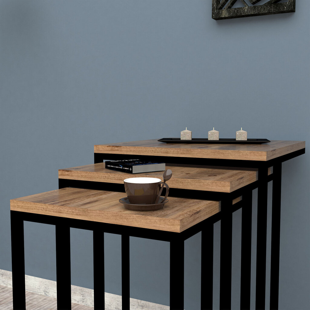 3-ju kafijas galdiņu komplekts Kalune Design 835, brūns/melns cena un informācija | Žurnālgaldiņi | 220.lv