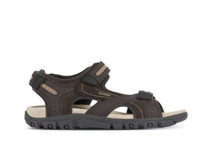 GEOX vīriešu brūnas sandales UOMO SANDAL STRADA цена и информация | Мужские шлепанцы, босоножки | 220.lv