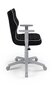 Bērnu biroja krēsls Entelo Duo JS01 5, melns/pelēks цена и информация | Biroja krēsli | 220.lv