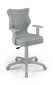 Biroja krēsls Entelo Duo JS03 6, pelēks cena un informācija | Biroja krēsli | 220.lv