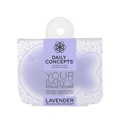 Губка для мытья Konjac Sponge с лавандой для малышей Daily Concepts цена и информация | Косметика для мам и детей | 220.lv