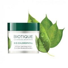 Гель для лица Biotique „Bio Chlorophyll Anti-Acne Gel“, 50 г цена и информация | Кремы для лица | 220.lv