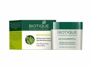 Гель для лица Biotique „Bio Chlorophyll Anti-Acne Gel“, 50 г цена и информация | Наносите на чистую кожу лица. Подержите около 10-15 минут и смойте водой. | 220.lv