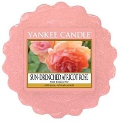 Aromātiskā svece Yankee Candle Sun-Drenched Apricot Rose 22 g cena un informācija | Sveces un svečturi | 220.lv