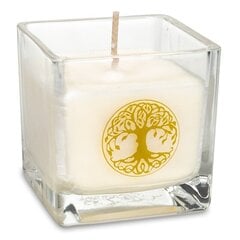Aromātiskā svece “Dzīvības koks” cena un informācija | Sveces un svečturi | 220.lv