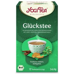 Garšvielu tēja noskaņojumam Bright Mood, Yogi Tea, ekoloģiska, 17 maisiņi cena un informācija | Tēja | 220.lv