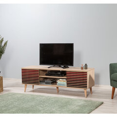 ТВ столик Kalune Design 863(I), темно-красный/дуб цена и информация | Тумбы под телевизор | 220.lv