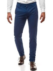 Штаны мужские Dark, синие цена и информация | Мужские брюки | 220.lv
