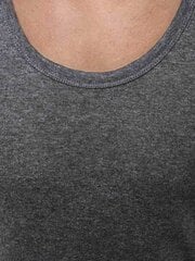 Tumši pelēks vīriešu krekls bez piedurknēm "Noril" cena un informācija | Vīriešu T-krekli | 220.lv