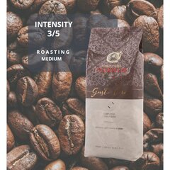 Kafijas pupiņas Gran Caffe Garibaldi - Gusto Oro, 1 kg cena un informācija | Kafija, kakao | 220.lv