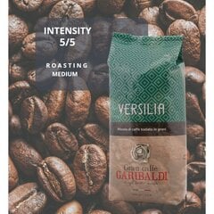 Kafijas pupiņas Gran Caffe Garibaldi - Versilia, 1 kg cena un informācija | Kafija, kakao | 220.lv