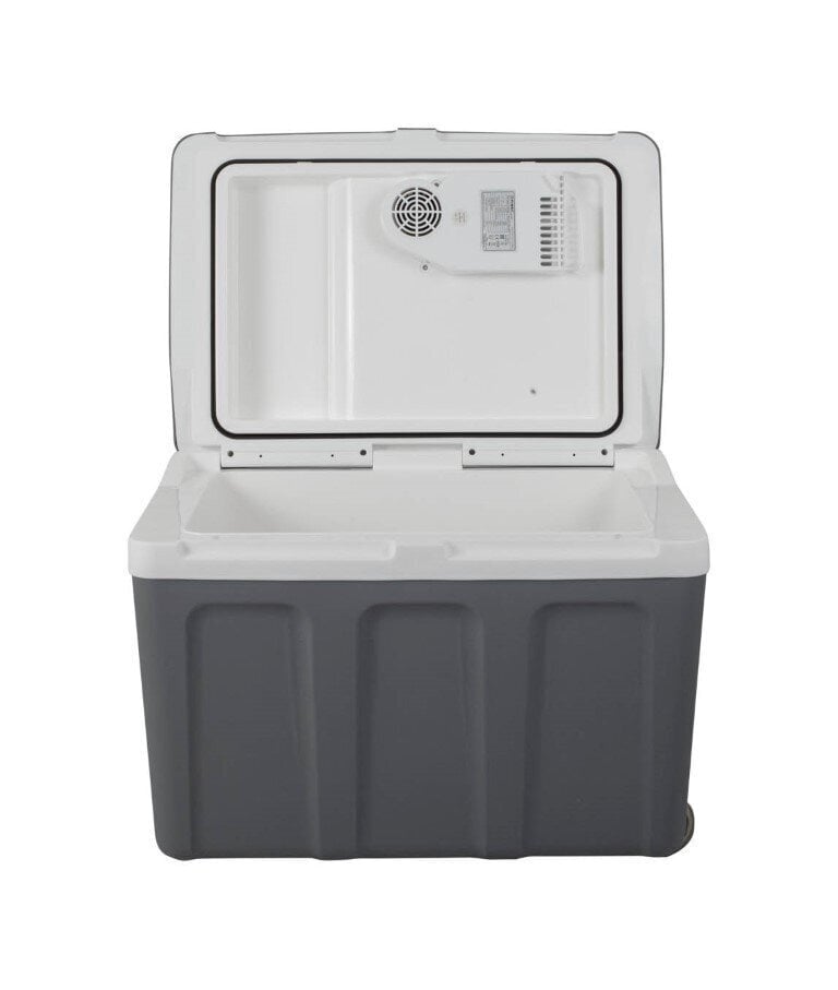 Automašīnas soma-ledusskapis First FA-5170-2. 40 l cena un informācija | Aukstuma somas, aukstuma kastes un aukstuma elementi | 220.lv