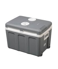 Автомобильная сумка-холодильник First FA-5170-2. 40 л цена и информация | Сумки-холодильники | 220.lv
