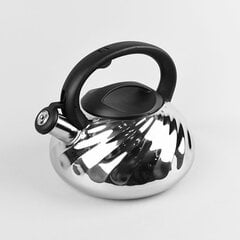 Эмалированный чайник 3,0Л Маэстро MR-1321, серебристый цена и информация | Чайники, кофейники | 220.lv