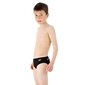 Peldbikses zēniem Speedo, melnas цена и информация | Peldbikses zēniem | 220.lv