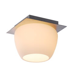 Griestu lampa G.LUX Apple - 1 цена и информация | Потолочные светильники | 220.lv