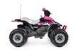 Vienvietīgs bērnu elektriskais kvadracikls Peg Perego Corral T-Rex 330W Pink 12V, rozā цена и информация | Bērnu elektroauto | 220.lv